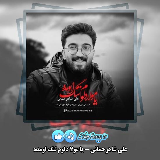 دانلود آهنگ علی شاهرحمانی یا مولا دلوم تنگ اومده